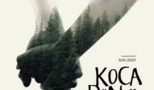 痞子猫电影在线观看,网络江湖的逆袭传奇